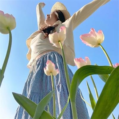 菜鸟大反攻