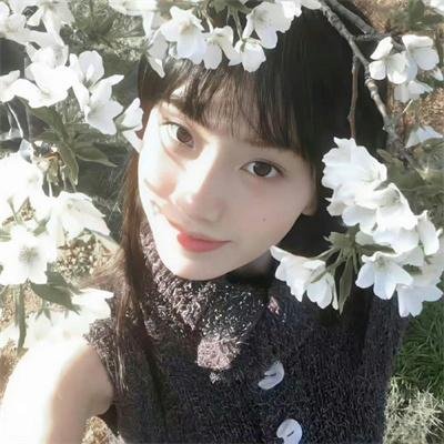 十四孤儿闯江湖